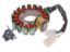 Obrázok z alternátor stator pre 125cc Yamaha Majesty, MBK Skyliner (-09)