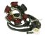 Obrázok z alternátor stator pre PGO Big Max, G-Max, Hot, PMX, T-Rex