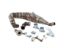 Obrázok z Výfuk racing SIP Performance Touring Design od NORDSPEED pre Lambretta 125 LI, LIS, DL, GP, 150 LI, LIS, SX, DL, GP, 175 TV 2°-3°, 200 TV, SX, DL, GP
